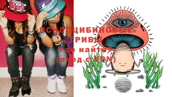 стафф Алексин