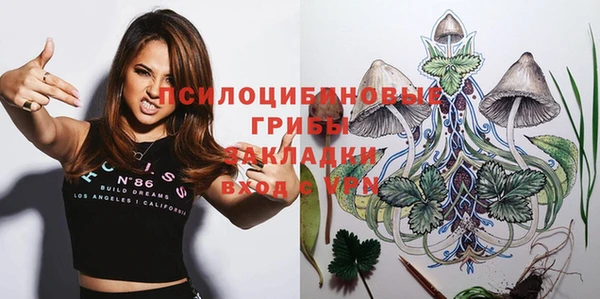 apvp Алзамай