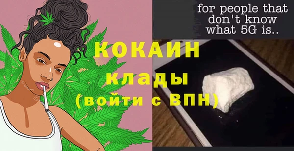 стафф Алексин